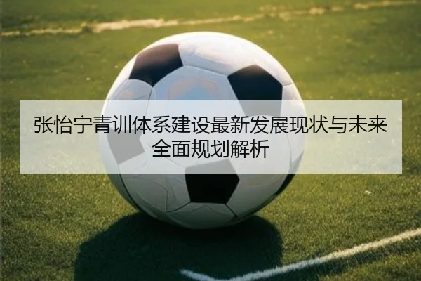张怡宁青训体系建设最新发展现状与未来全面规划解析 | WM SPORTS